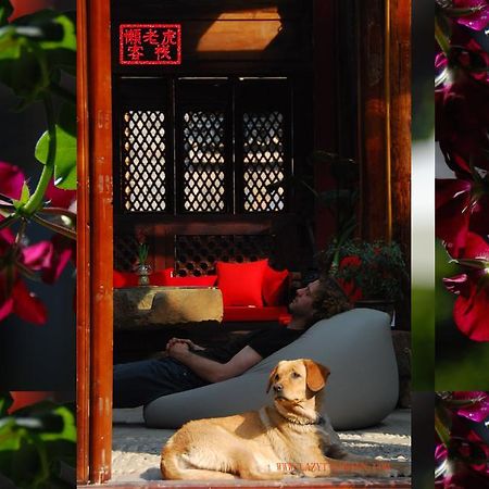 Lazy Tiger Inn 丽江 外观 照片
