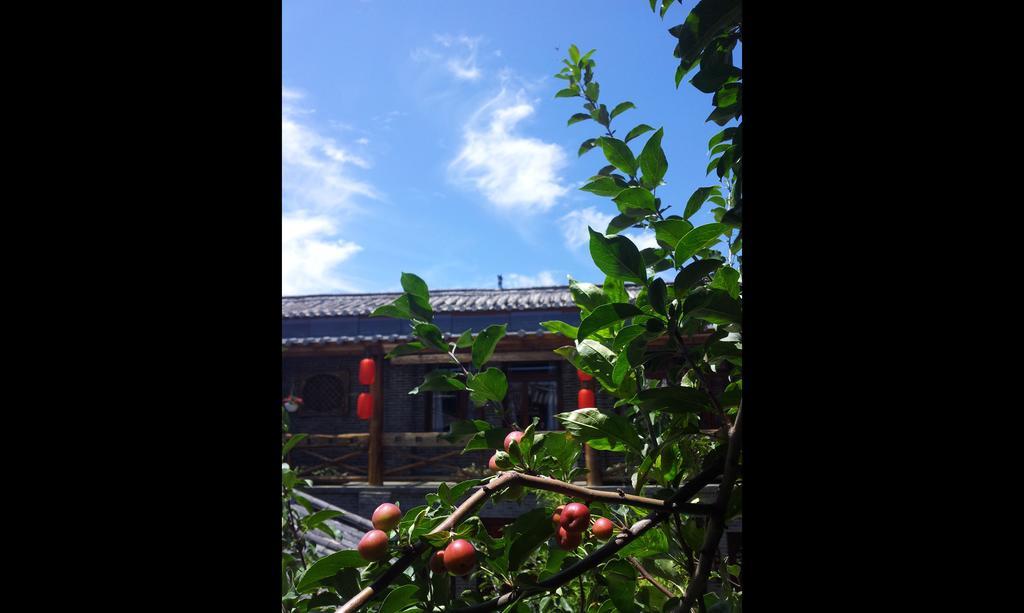 Lazy Tiger Inn 丽江 外观 照片