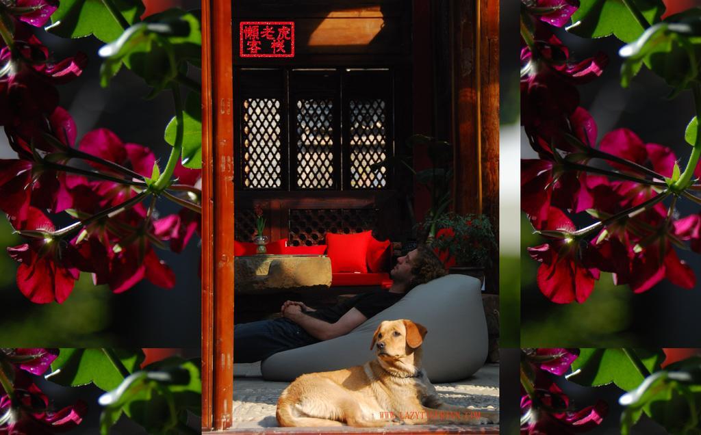 Lazy Tiger Inn 丽江 外观 照片