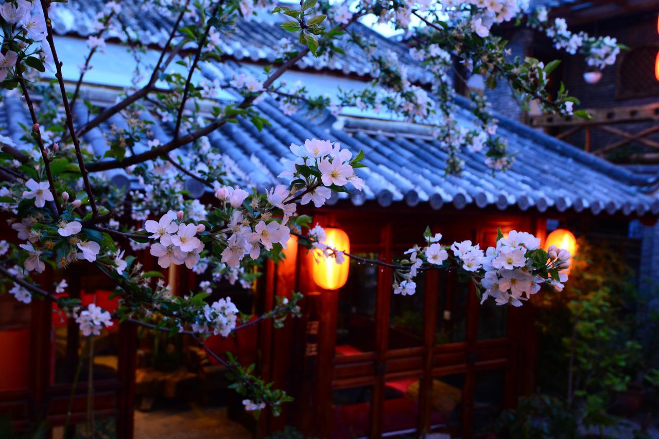 Lazy Tiger Inn 丽江 外观 照片